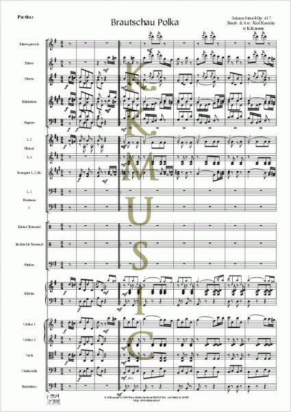 STRAUSS, Johann - Brautschau Polka (Orchester)
