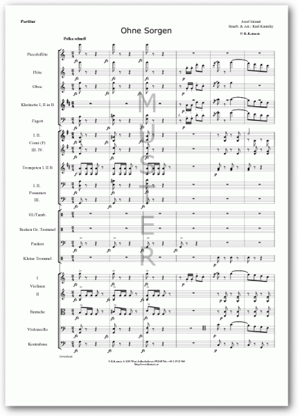STRAUSS, Josef - Ohne Sorgen (Orchester)